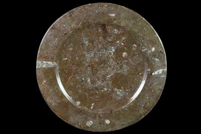Fossil Orthoceras & Goniatite Round Plate - Stoneware #140066